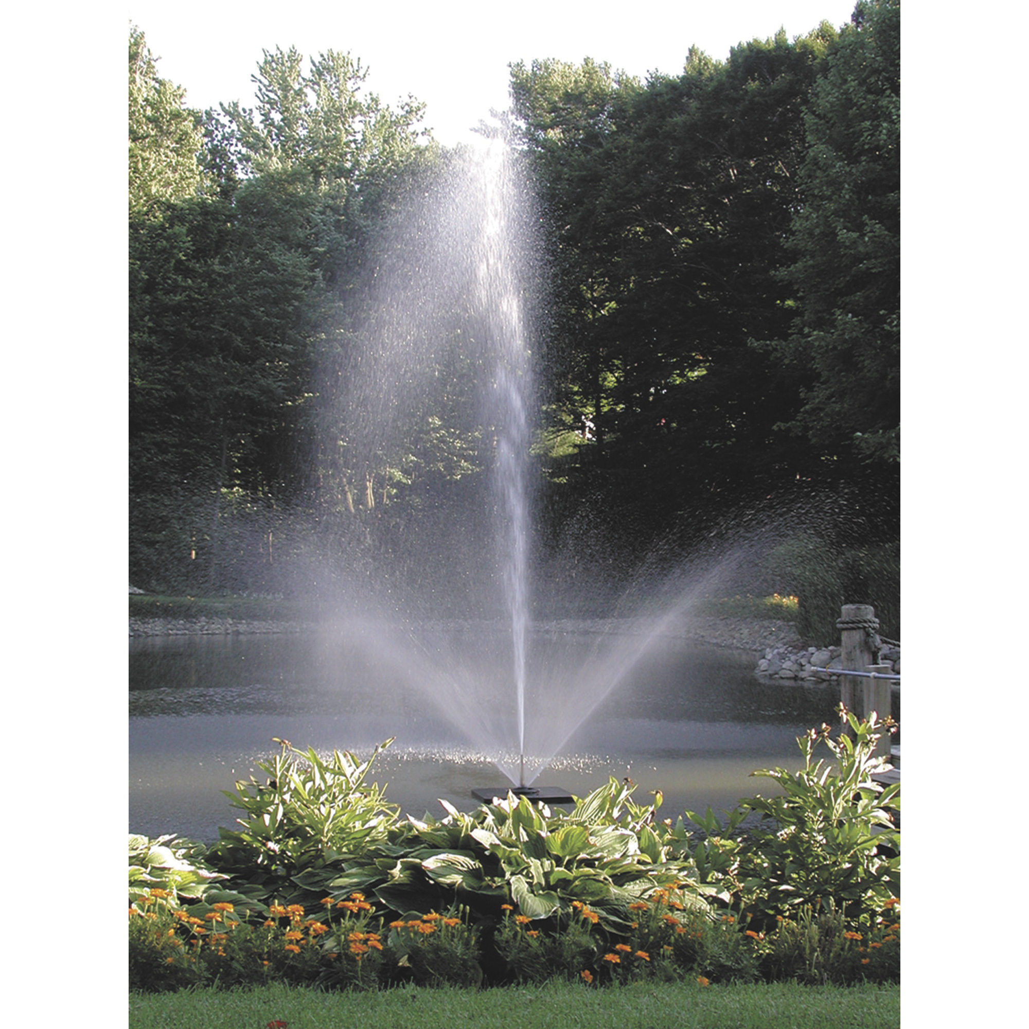 Scott Aerator Skyward Big Shot™ Fountain, 1/2 HP, 230 Volt, 70-Ft. Cord, Model# 13006